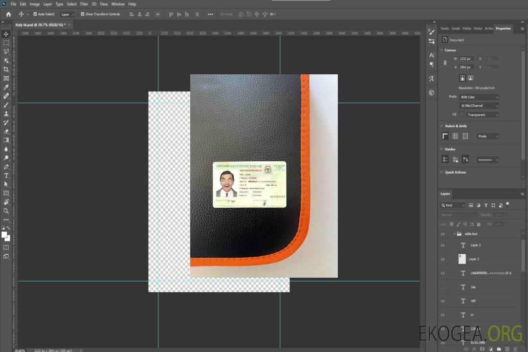 Photolook d'identité du Burkina Faso DEVANT template